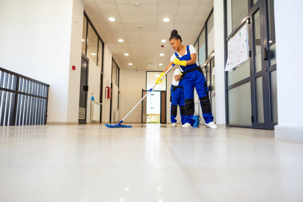 A team of women from Janitorial Services engaged in cleaning tasks in a well-furnished living room.