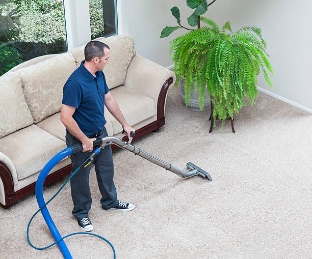 A man operates a vacuum cleaner on a carpet, illustrating professional carpet cleaning services.